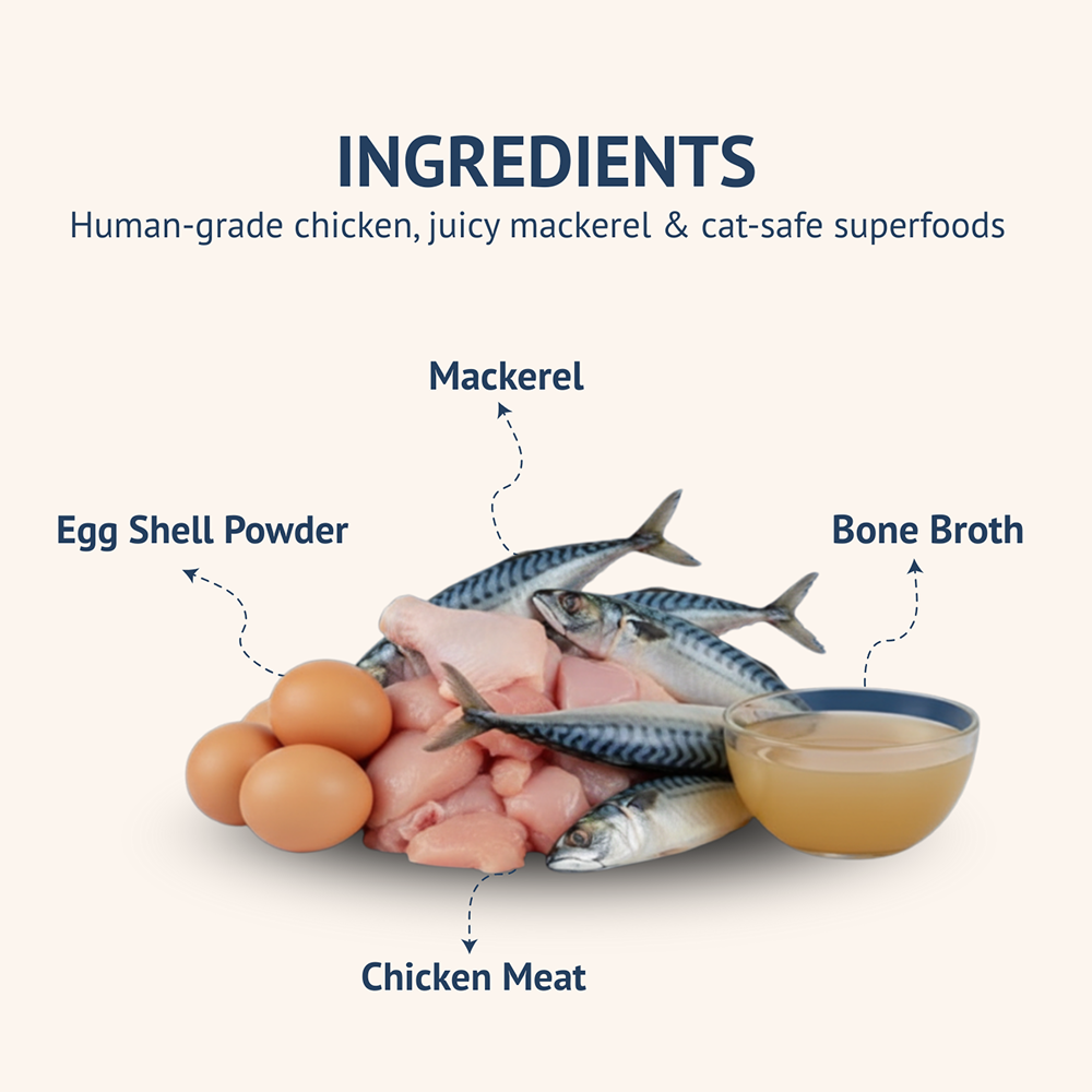 Goofy Tails Mackerel & Chicken Cat Meals
