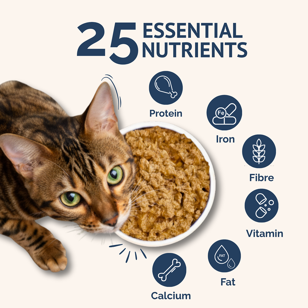 Goofy Tails Mackerel & Chicken Cat Meals