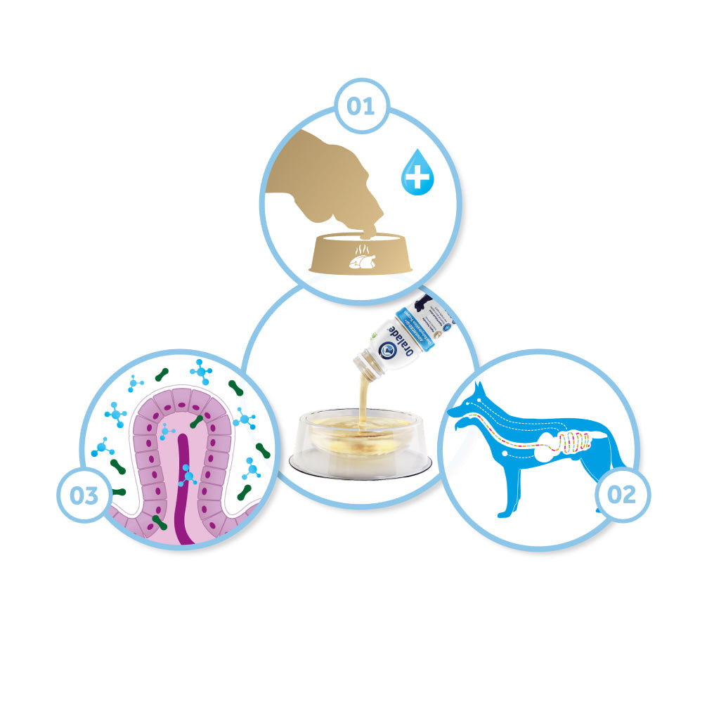 Oralade Advanced GI Oral Rehydration Support for Dogs and Cats
