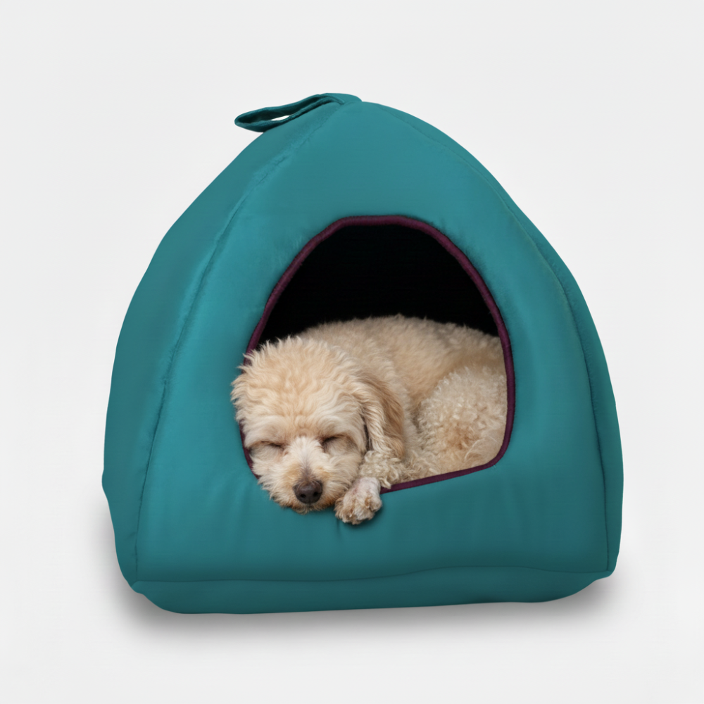 Skatrs Cozy House for Cats, Kittens and Small Dogs (Teal Blue and Purple)