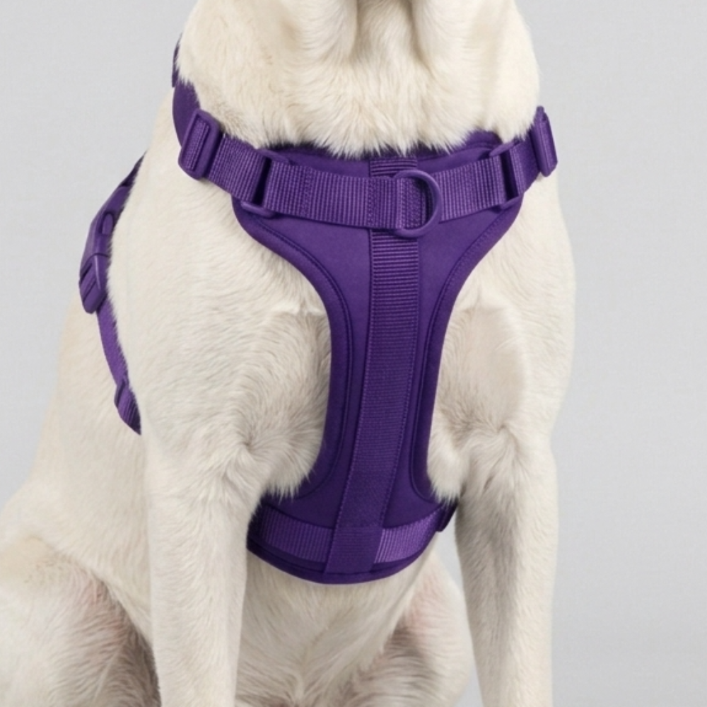 Skatrs Fully Padded Harness for Dogs (Cosmic Purple)
