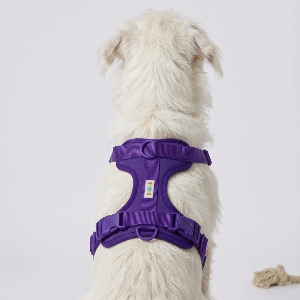 Skatrs Fully Padded Harness for Dogs (Cosmic Purple)