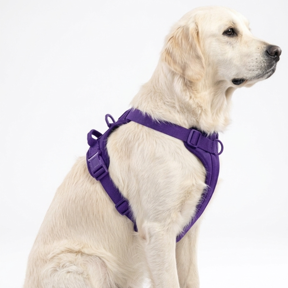 Skatrs Fully Padded Harness for Dogs (Cosmic Purple)