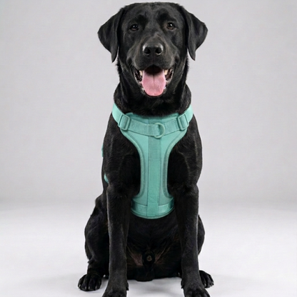 Skatrs Fully Padded Harness for Dogs (Aqua Teal)