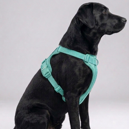 Skatrs Fully Padded Harness for Dogs (Aqua Teal)