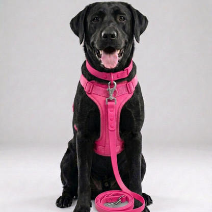 Skatrs 3 in 1 Adjustable Leash for Dogs (Ruby Red)