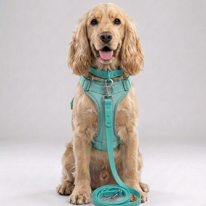 Skatrs 3 in 1 Adjustable Leash for Dogs (Ruby Red)