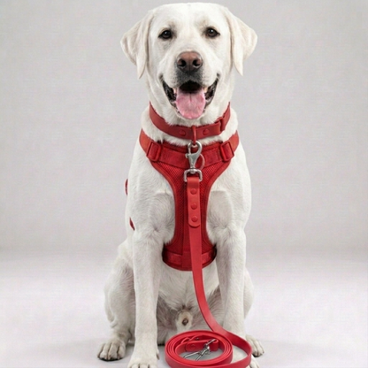 Skatrs 3 in 1 Adjustable Leash for Dogs (Cosmic Purple)
