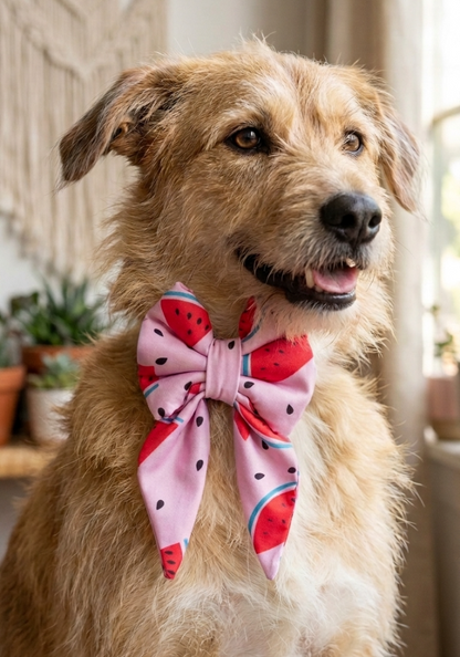 Skatrs Watermelon bowtie for Dogs and Cats