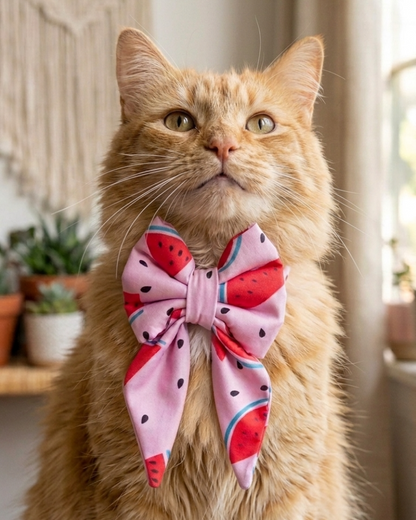 Skatrs Watermelon bowtie for Dogs and Cats