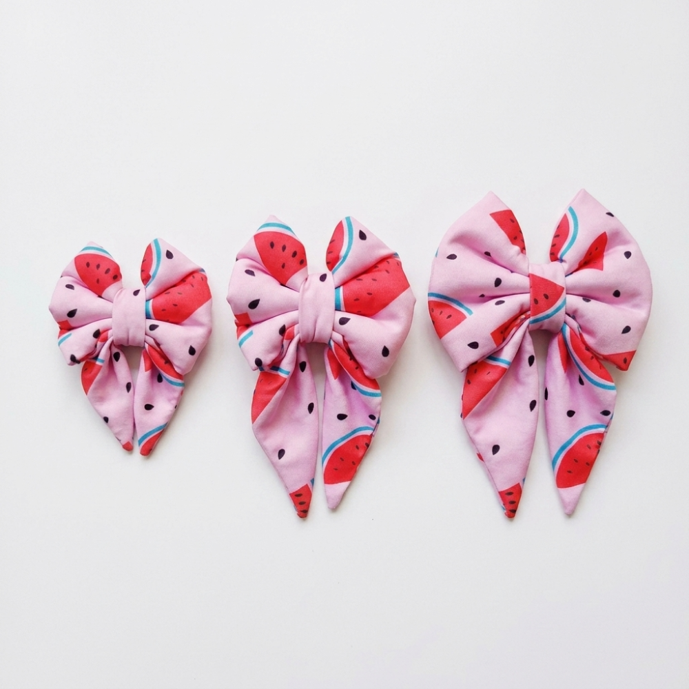 Skatrs Watermelon bowtie for Dogs and Cats