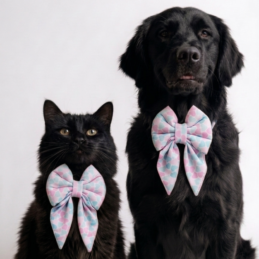 Skatrs Heart Bowtie for Dogs and Cats