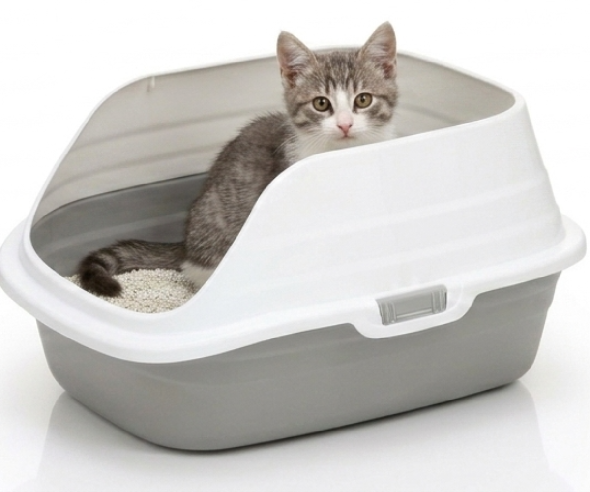 Skatrs High Sided Splash Proof & Spacious Litter Box for Cats