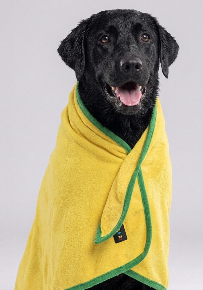 Skatrs Pet towel for dog and cat ( Yellow and Green)