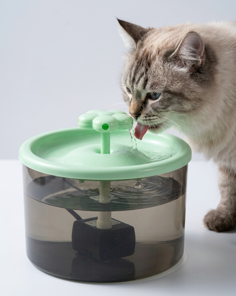 Skatrs Water Fountain for Dogs and Cats (Green)