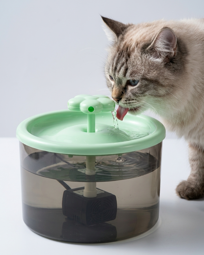 Skatrs Water Fountain for Dogs and Cats (Green)