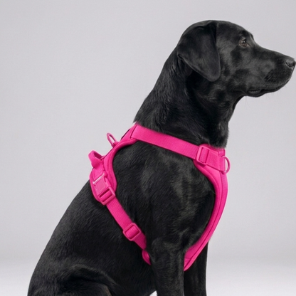 Skatrs Fully Padded Harness for Dogs (Flamingo Pink)