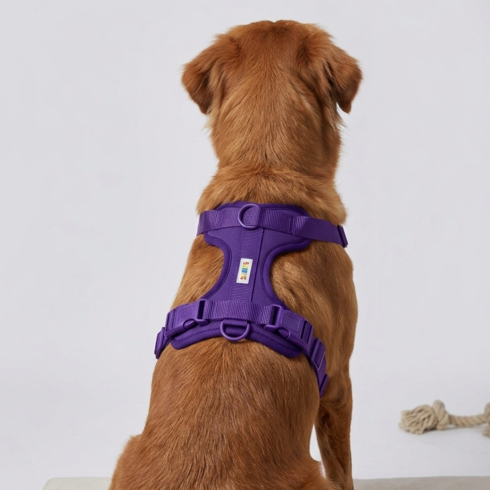 Skatrs Fully Padded Harness for Dogs (Cosmic Purple)