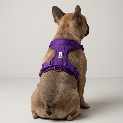 Skatrs Fully Padded Harness for Dogs (Cosmic Purple)
