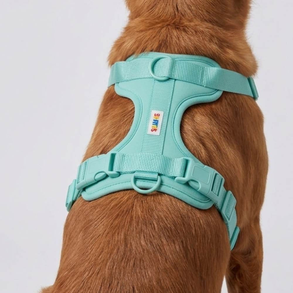 Skatrs Fully Padded Harness for Dogs (Aqua Teal)