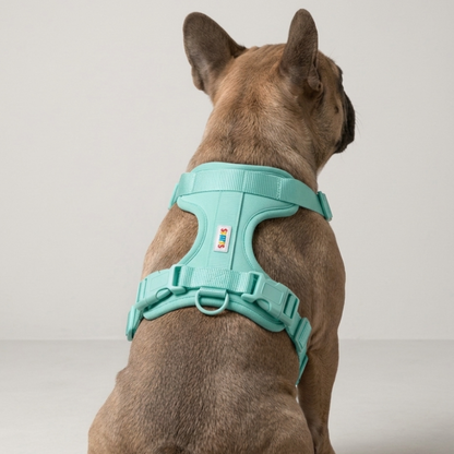 Skatrs Fully Padded Harness for Dogs (Aqua Teal)