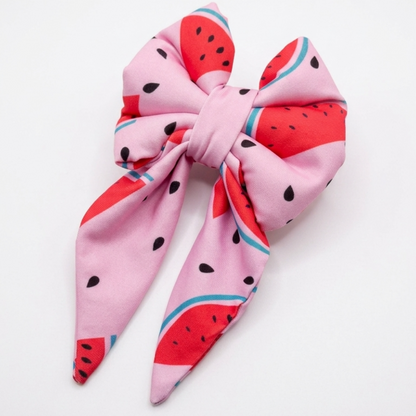 Skatrs Watermelon bowtie for Dogs and Cats