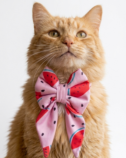 Skatrs Watermelon bowtie for Dogs and Cats