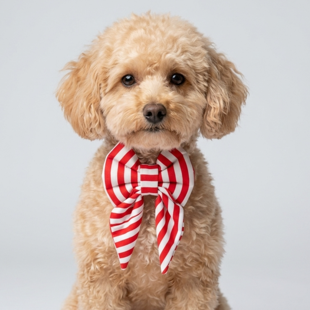 Skatrs Sailor bowtie for Dogs and Cats