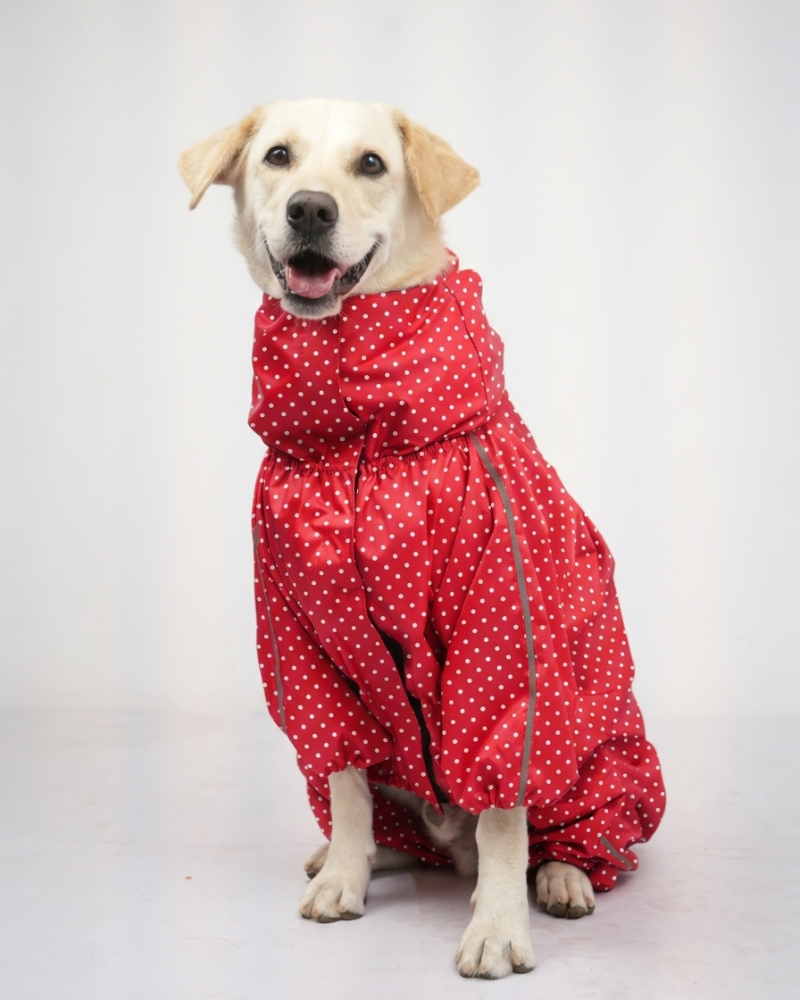 Skatrs Raincoat for Dogs (Red)