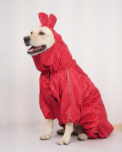 Skatrs Raincoat for Dogs (Red)