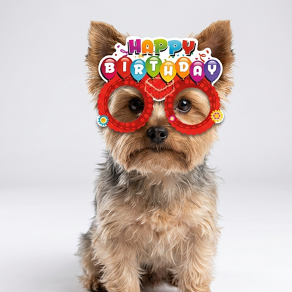 Skatrs Birthday hamper for Dogs and Cats (Blue)