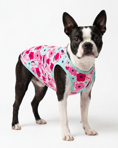 Skatrs Candy Bloom T-Shirt for Dogs and Cats