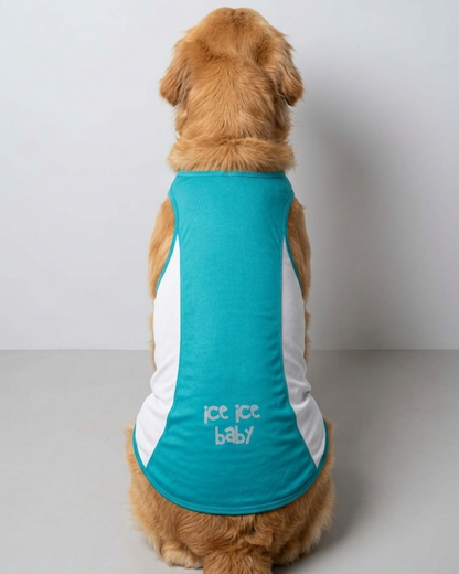 Skatrs Cooling Vest for Dogs (Blue)
