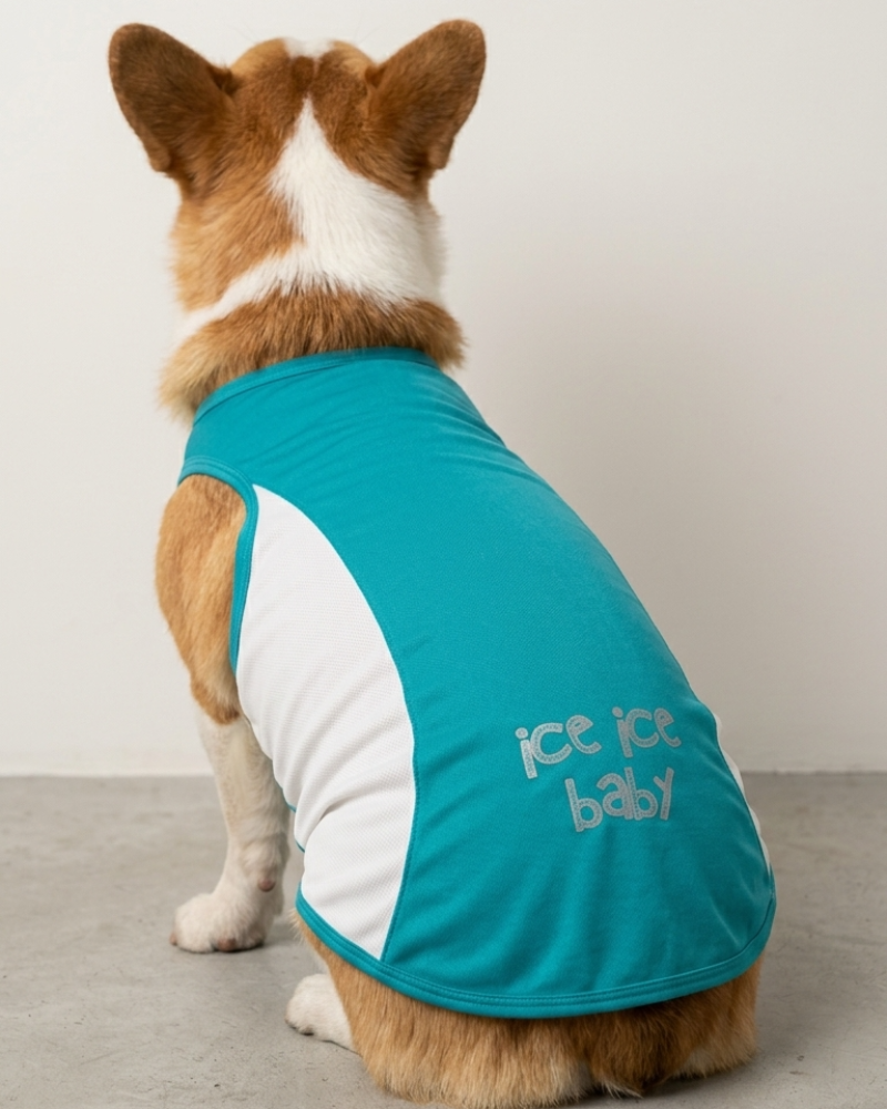 Skatrs Cooling Vest for Dogs (Blue)