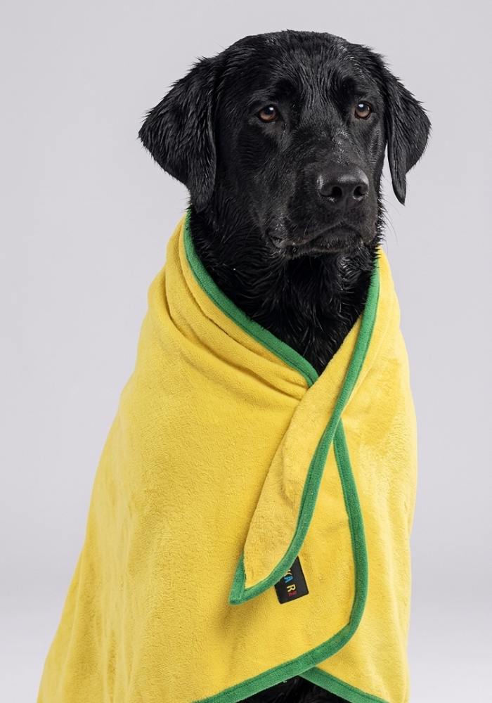 Skatrs Pet towel for dog and cat ( Yellow and Green)
