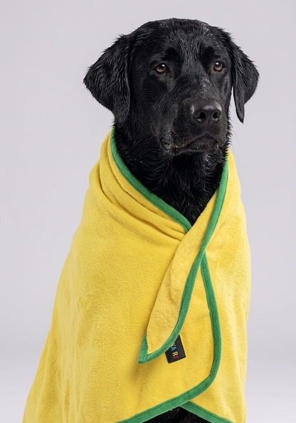 Skatrs Pet towel for dog and cat ( Yellow and Green)