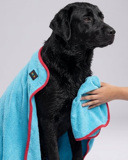 Skatrs Pet towel ( Light Blue and Red)