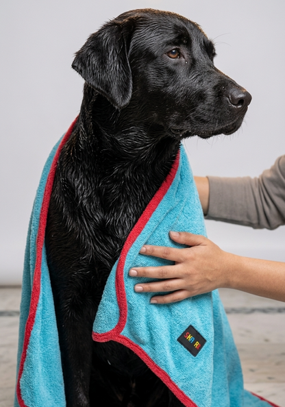 Skatrs Pet towel ( Light Blue and Red)