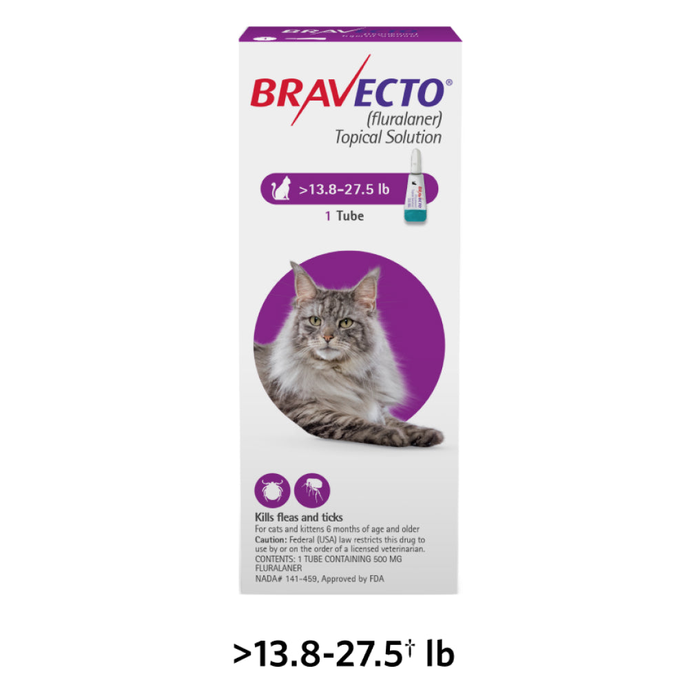MSD Animal Health Bravecto 500mg (Fluralaner) Spot On for Large Cats (1 tube)