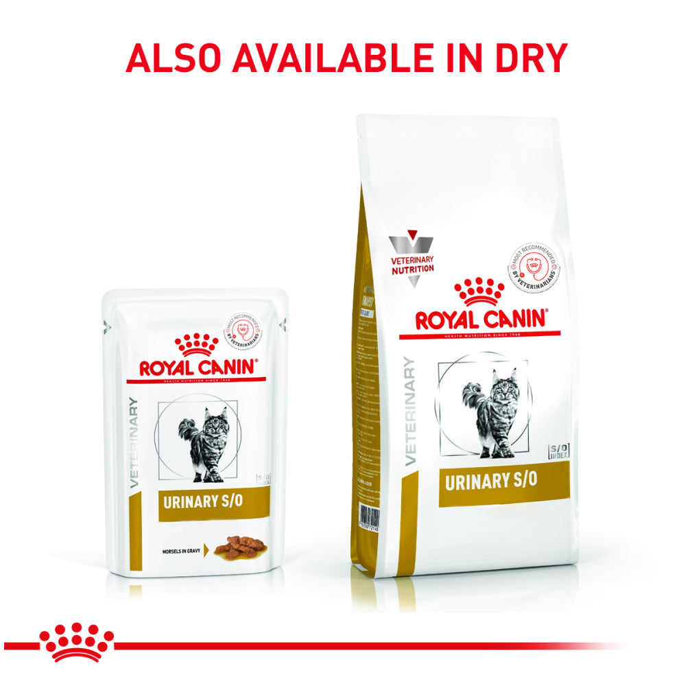 Royal Canin Veterinary Diet Urinary S/O Cat Chicken Wet Food