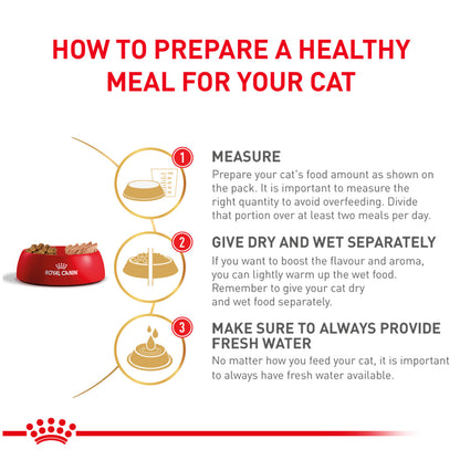 Royal Canin Veterinary Diet Urinary S/O Moderate Calorie Cat Wet Food