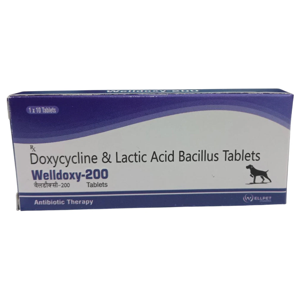 Wellpet Welldoxy 200mg (Doxycycline) Tablets for Dogs