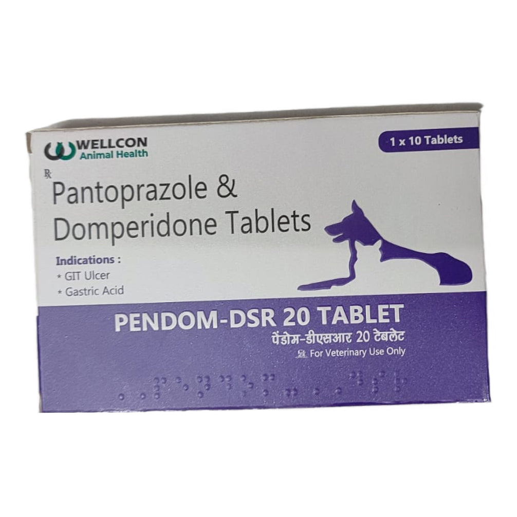 Wellcon Pendom 20mg DSR Tablet (Pantoprazole & Domperidone) for Dogs and Cats