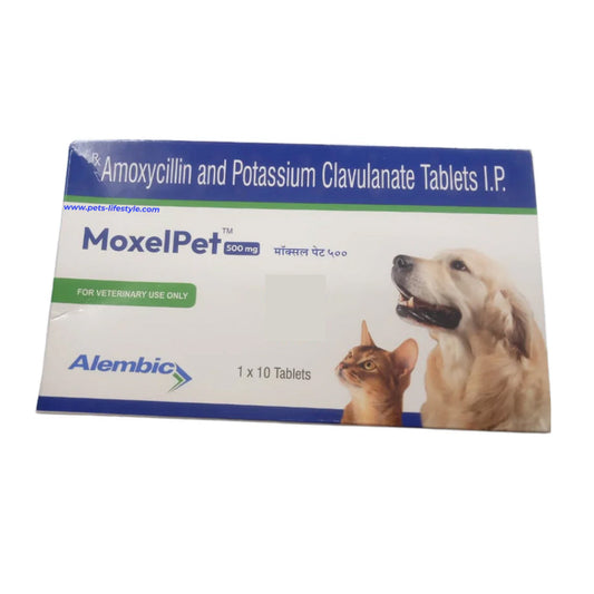 Alembic MoxelPet 500mg (Amoxycillin & Potassium Clavulanate) Tablet  for Dogs and Cats