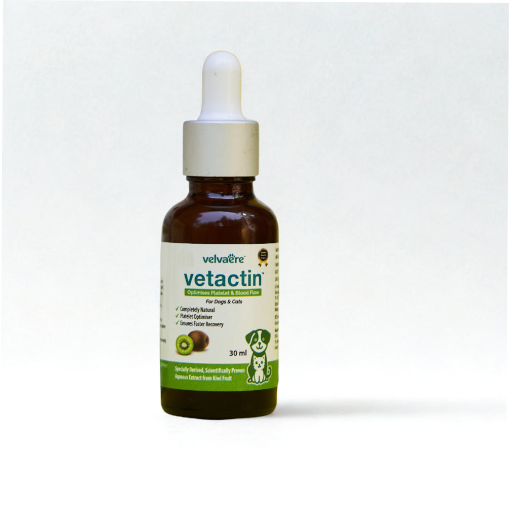 Velvaere Vetactin Syrup Optimizes Platelet & Blood Flow for Dogs & Cats (30ml)