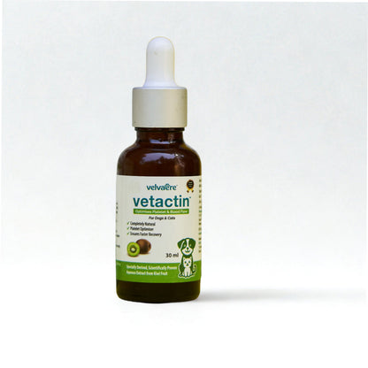 Velvaere Vetactin Syrup Optimizes Platelet & Blood Flow for Dogs & Cats (30ml)