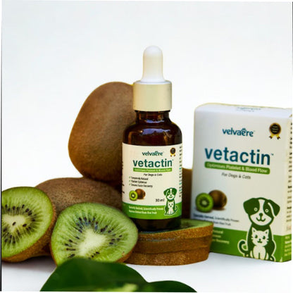 Velvaere Vetactin Syrup Optimizes Platelet & Blood Flow for Dogs & Cats (30ml)