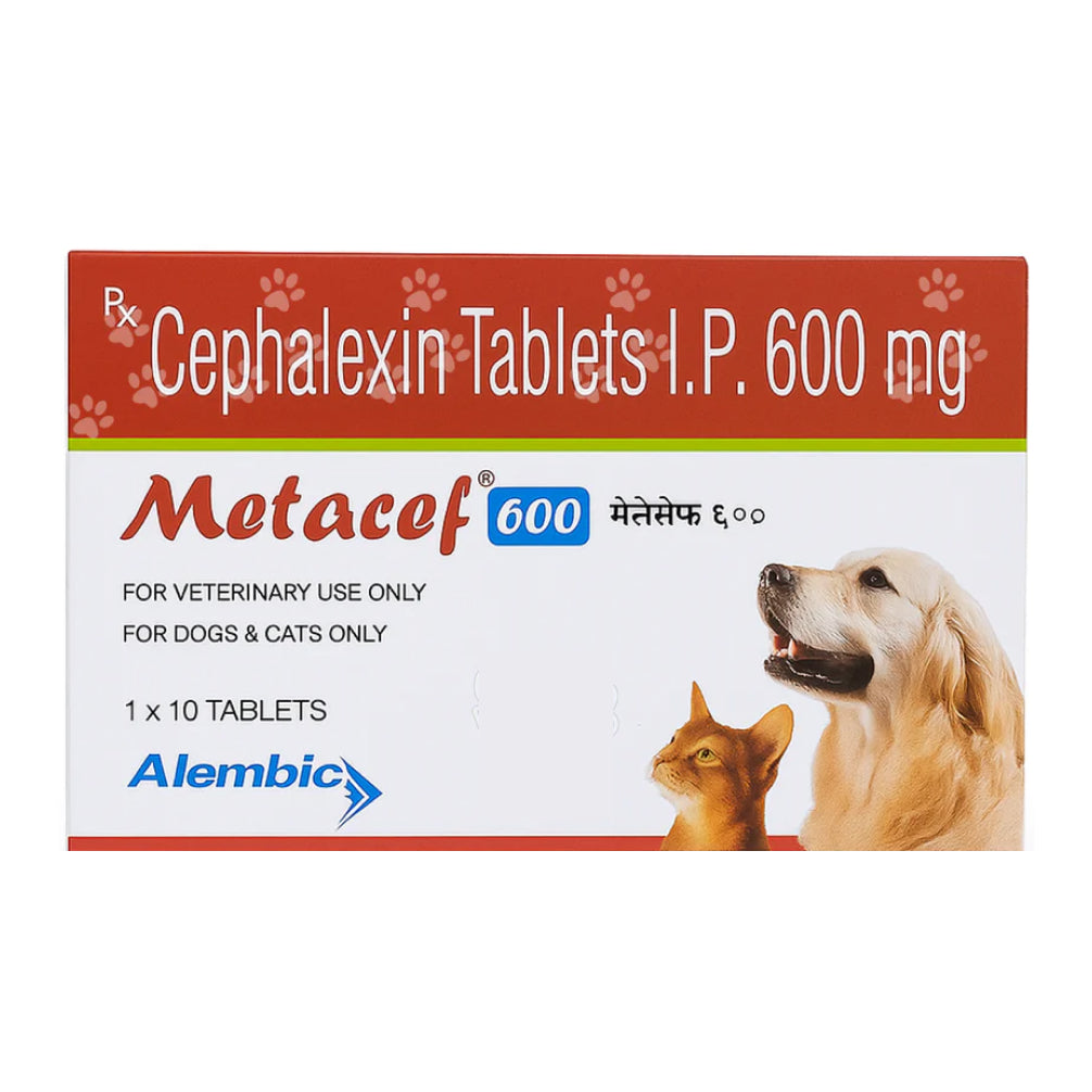 Alembic Metacef (Cephalexin) 600mg Tablets for Dogs and Cats