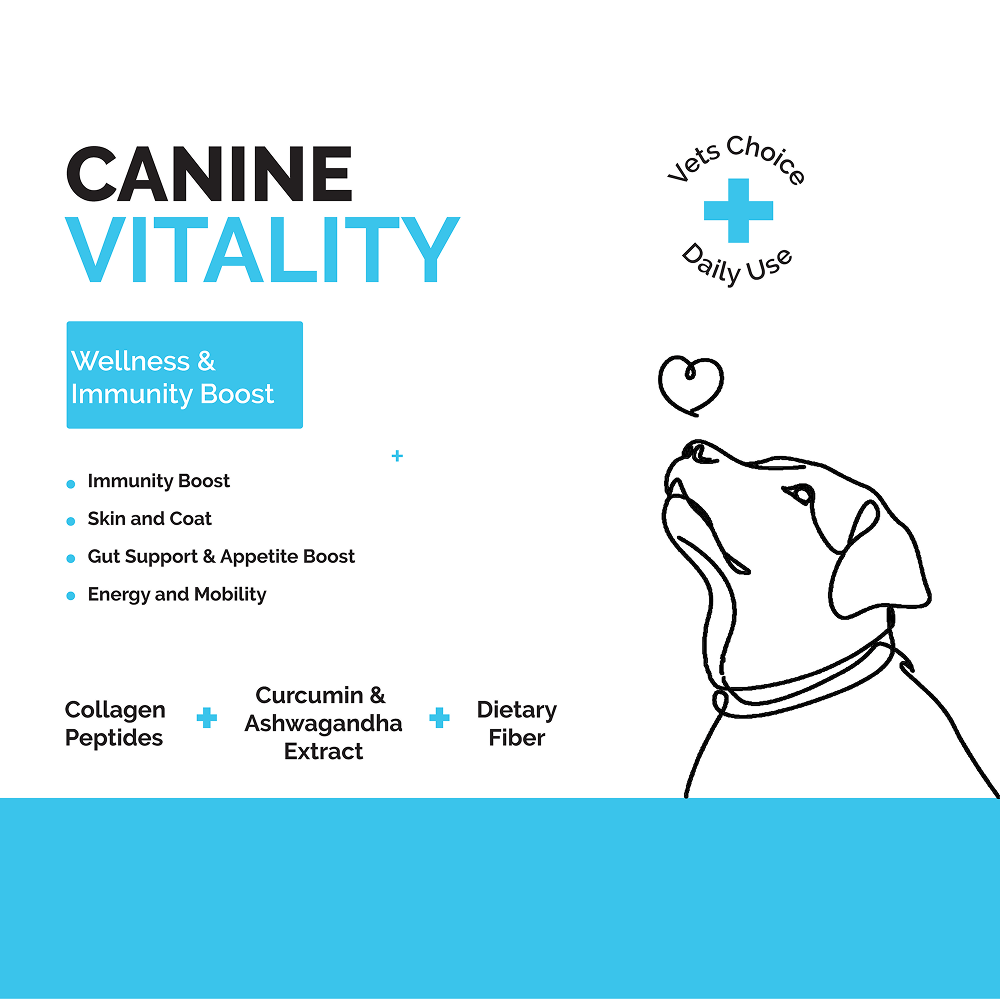 Goofy Tails Chicken Flavoured Canine Vitality + Wellness & Immunity Booster Supplement for Dogs