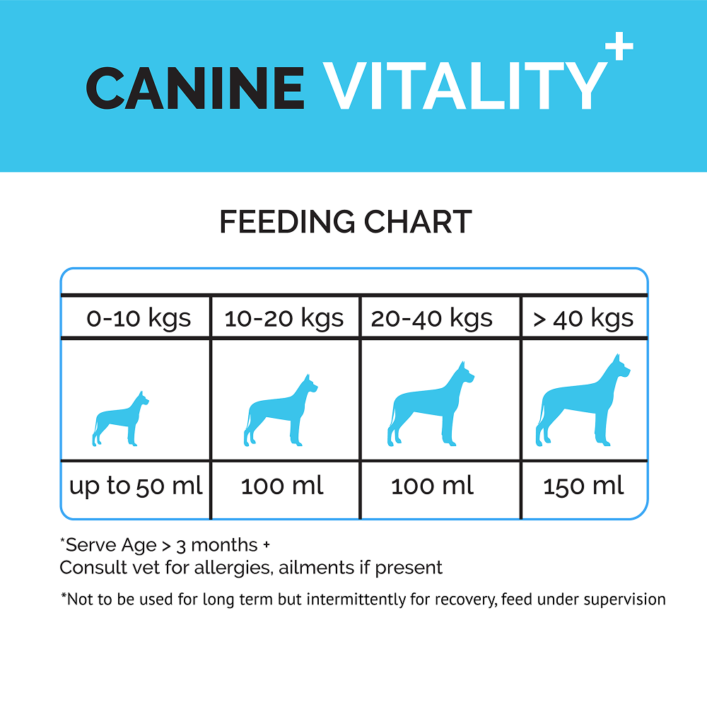 Goofy Tails Chicken Flavoured Canine Vitality + Wellness & Immunity Booster Supplement for Dogs